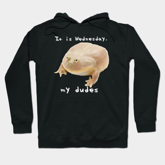 It is Wednesday my Dudes Hoodie by swiftscuba